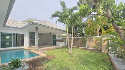 A look across the garden
