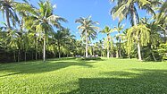 Close to paradise