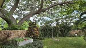 Beautiful trees and lush greenery