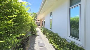 Manicured plants all around the house