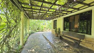 Shady pergola at the entrance to the main house