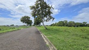 The internal road alongside the land plot