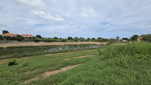 The land sloping down towards the lake